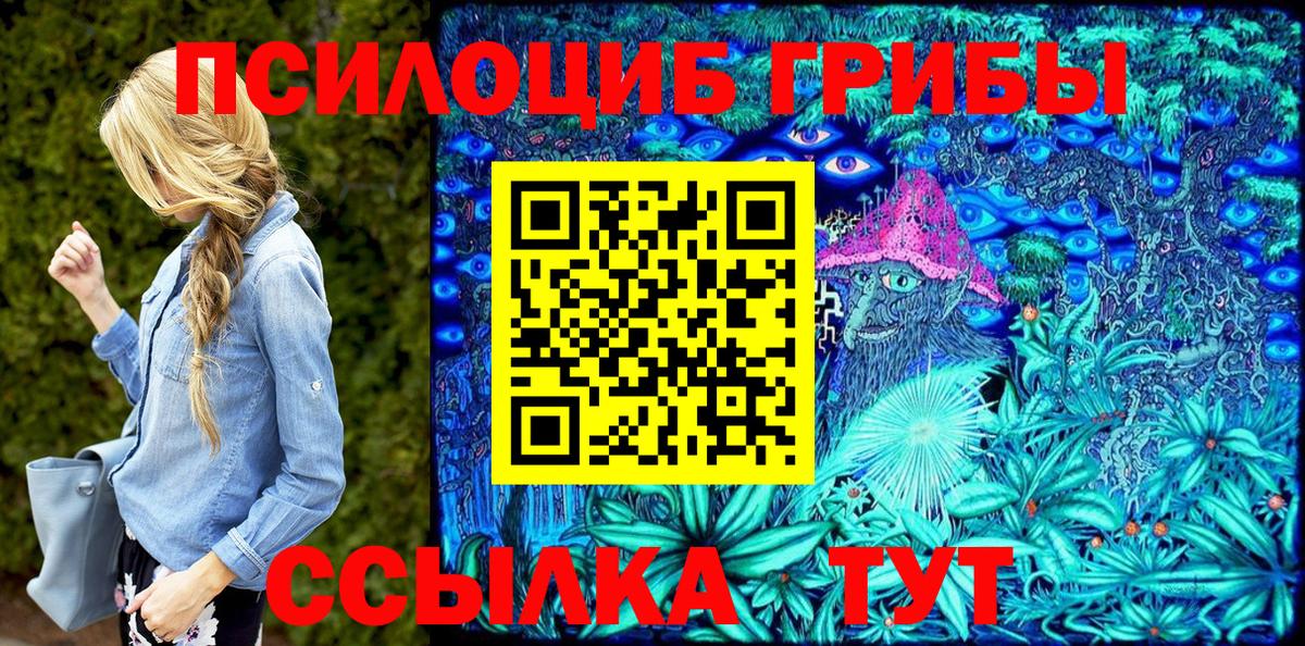 Псилоцибиновые грибы GOLDEN TEACHER Ачхой-Мартан