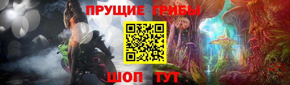 Ачхой-Мартан  Галлюциногенные грибы Magic Shrooms  Вход с VPN 